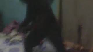 Korea beng beng beng