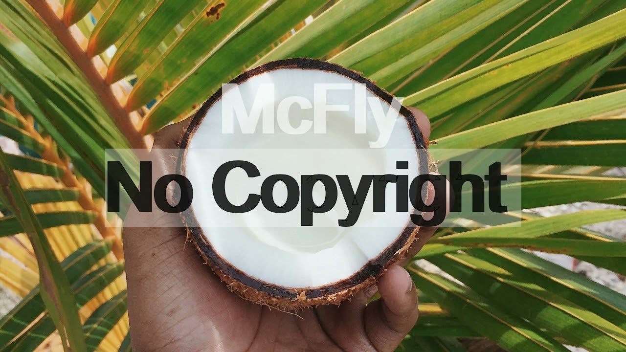 Waesto - Coconut (McFly No Copyright Background Music)