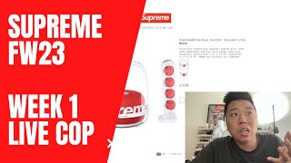 🤮 Not a good start of the season...the website throw me out - Supreme FW23 Week 1