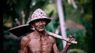 Makkojar sonang top simamora