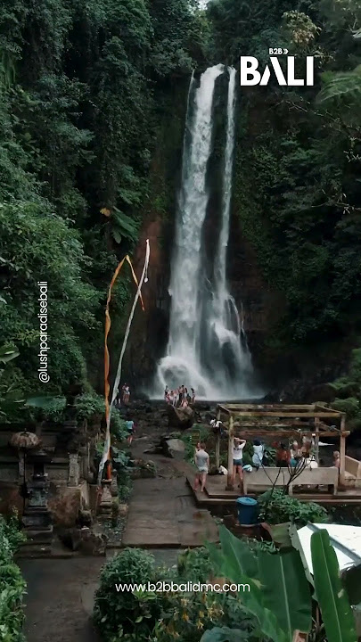 Git Git Falls - B2B Bali DMC - Top Leading DMC for Bali #gitgitfalls #bali #indonesia