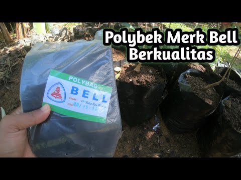Polybek terbaik yang pernah saya pakai - YouTube