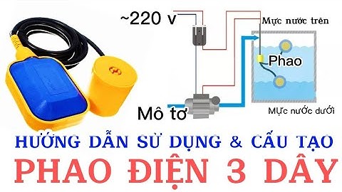 Hướng dẫn sử dụng phao điện 3 dây và cấu tạo bên trong của phao điện |Sáng Tạo Việt