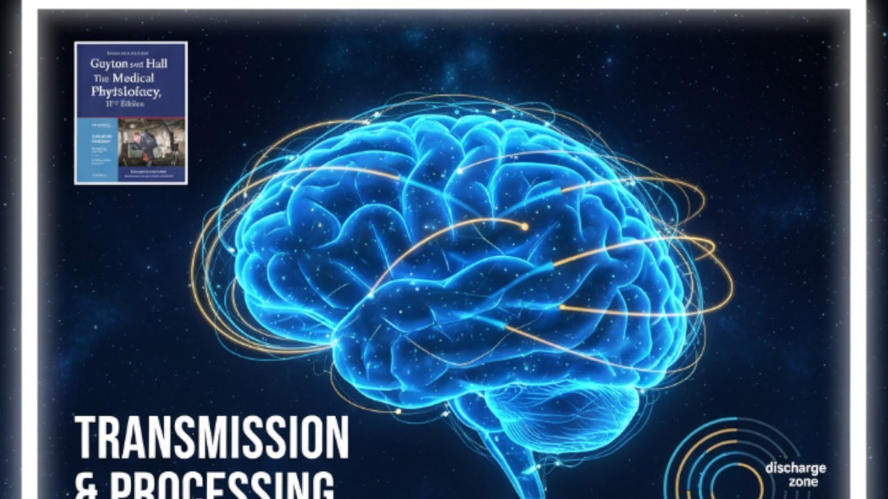 Neuronal Pool Signal Processing Fundamentals video 7( P:603 to 605 guyton 15th Ed:)