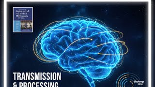 Famous Neuronal Pool Signal Processing Fundamentals video 7( P:603 to 605 guyton 15th Ed:) Wealth