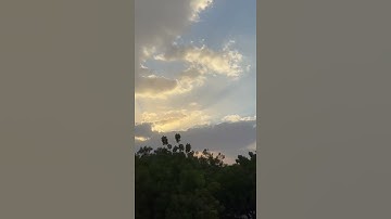 سورة الاخلاص ~ القارئ #ادريس_ابكر