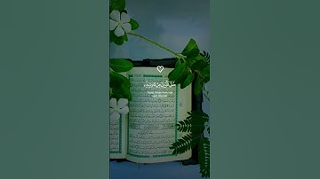 هذا خلق الله | ياسر الدوسري | سورة لقمان