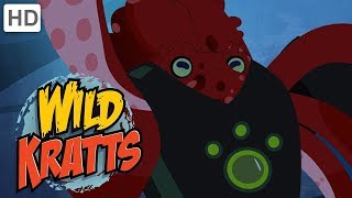 Wild Kratts  Water Animals Creature Powers!  | Kids Videos