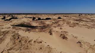 Пустеля Олешківські піски у Херсонській області