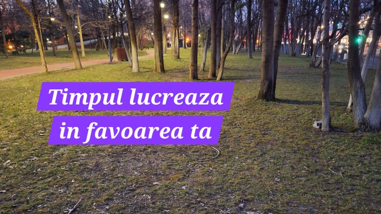 ✨️Nu te grabi, da-ti timp! 💫Timpul lucreaza in favoarea ta! 🌱🌳😇🪽