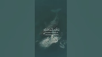 { وَقَالَ ٱلَّذِیۤ ءَامَنَ یَـٰقَوۡمِ ٱتَّبِعُونِ...}سورة/غافر القارئ/ناصر القطامي