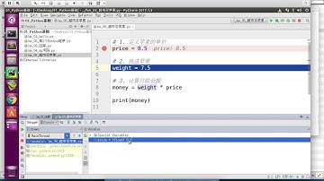 黑马程序员 Python 教程： 056 变量的使用 04 PyCharm单步执行查看变量值