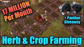 Want to know how make money farming in albion online? then check out
this new video which shows you maximize your yield and focus cost when
farming...