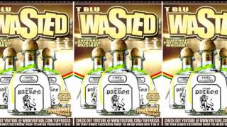 Video thumbnail of "T BLU - WASTED"