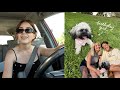 VLOG: puppy's 1st birthday, moving plans, girl's night