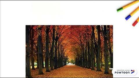 Ecosystems Interactive Lesson