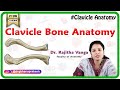 Clavicle Bone Anatomy: Bony Landmarks and Articulations, Functions, Attachments, Clinical aspects