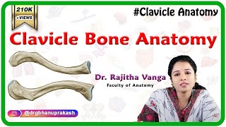 Clavicle Bone Anatomy: Bony Landmarks and Articulations, Functions, Attachments, Clinical aspects