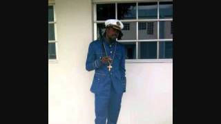 Beenie Man \u0026 Lolita - Wine You Body {Bottle Party Riddim} FEB 2011 [TJ Records]