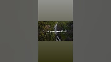 سورة المؤمنون بصوت عذب 🌟✨ دعاء وطمأنينة لكل قلب.  #سورة_المؤمنون #اجر_لي_ولك #اكسبلور #شورت #ترند