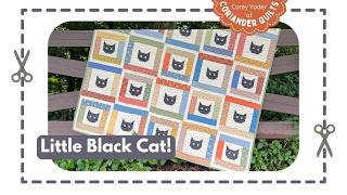 My New Little Black Cat Jelly Roll Quilt + The Final BOM Border