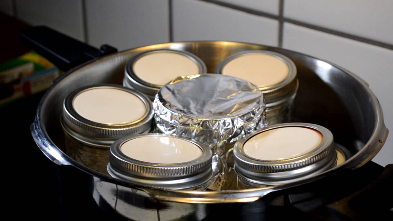 Agar Petri dishes