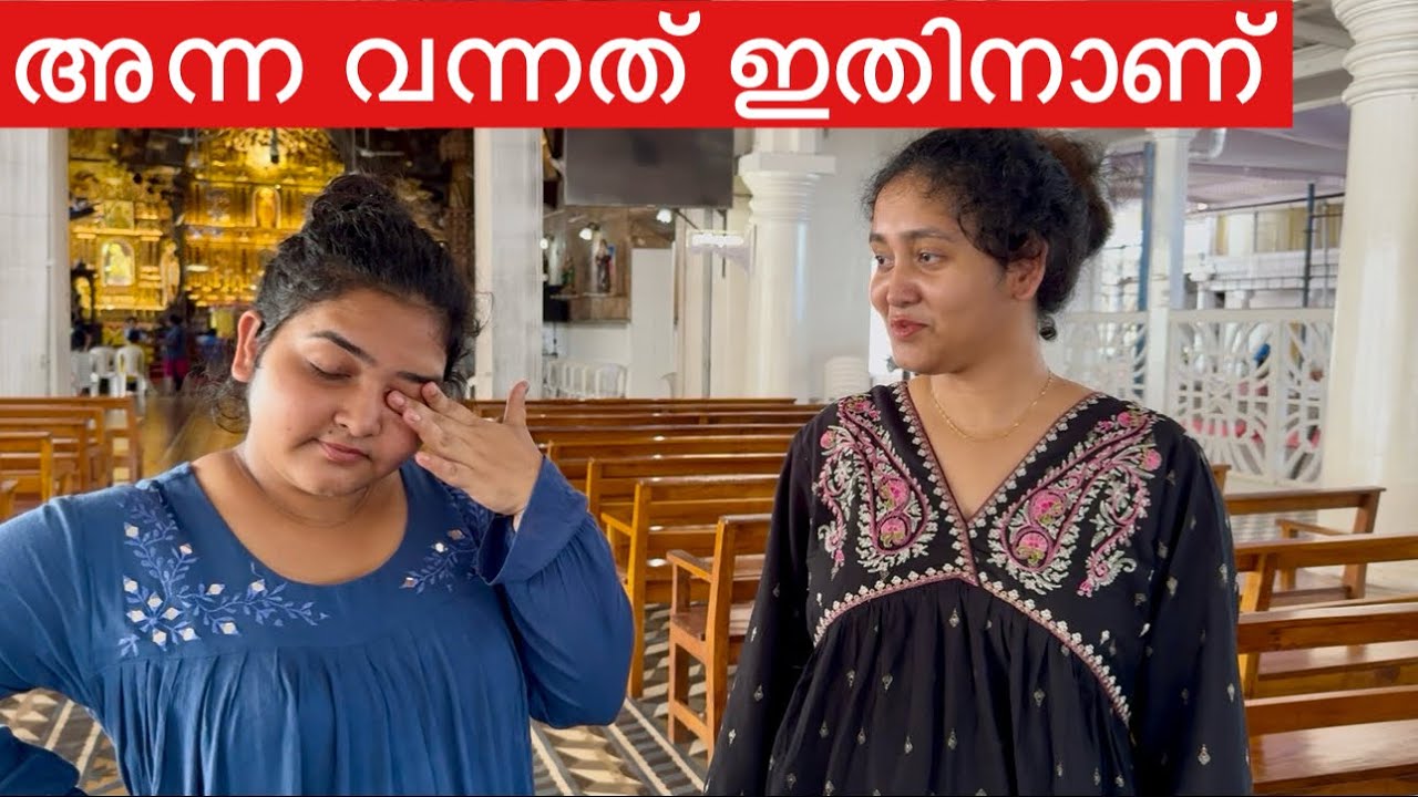 അന്ന ദുബായിന് വന്നതിനു കാരണം ഇതാണ് ✈️😓