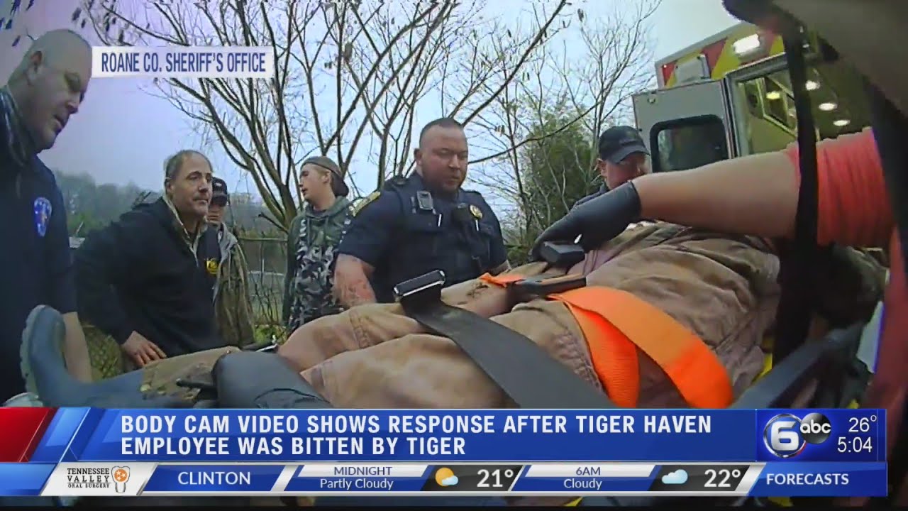 Bodycam video shows response after Tiger Haven employee was bitten