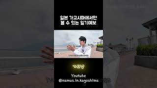일본 가고시마에서만 볼 수 있는 일기예보  #가고시마 #일본여행 #일본
