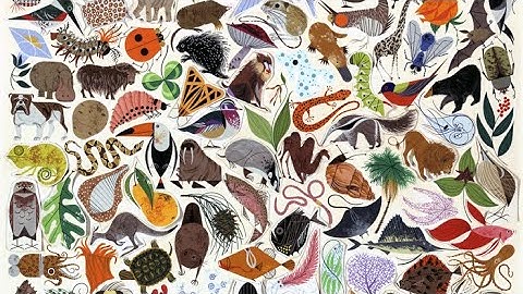 09.01 Sources and Consequences – Beyond Networks: The Evolution of Living Systems