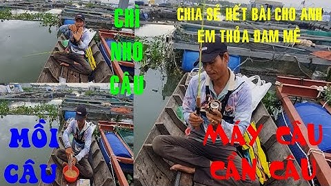 🐟Fishing 323🐟Câu Cá Dảnh Ngoài Bè Chia Sẻ Tất Tần Tật Hết Bài Về Câu Cá Dảnh Cho Anh Em🐟