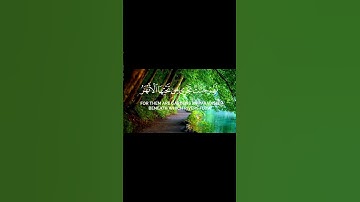سورة المائدة الآية ( 119 )                       Surah Al-Ma'idah, verse (119)