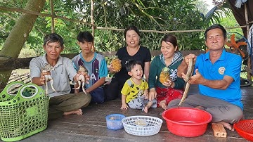 Mưa Đầu Mùa Đi Soi Ếch Đồng Về Xào Khóm Ăn Với Lươn Kho Nghệ.Góc Làng Quê #535