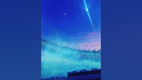 Một con rồng ngoài đời thật