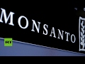 Monsanto busca limitar la soberanía alimentaria en Argentina, afirman expertos