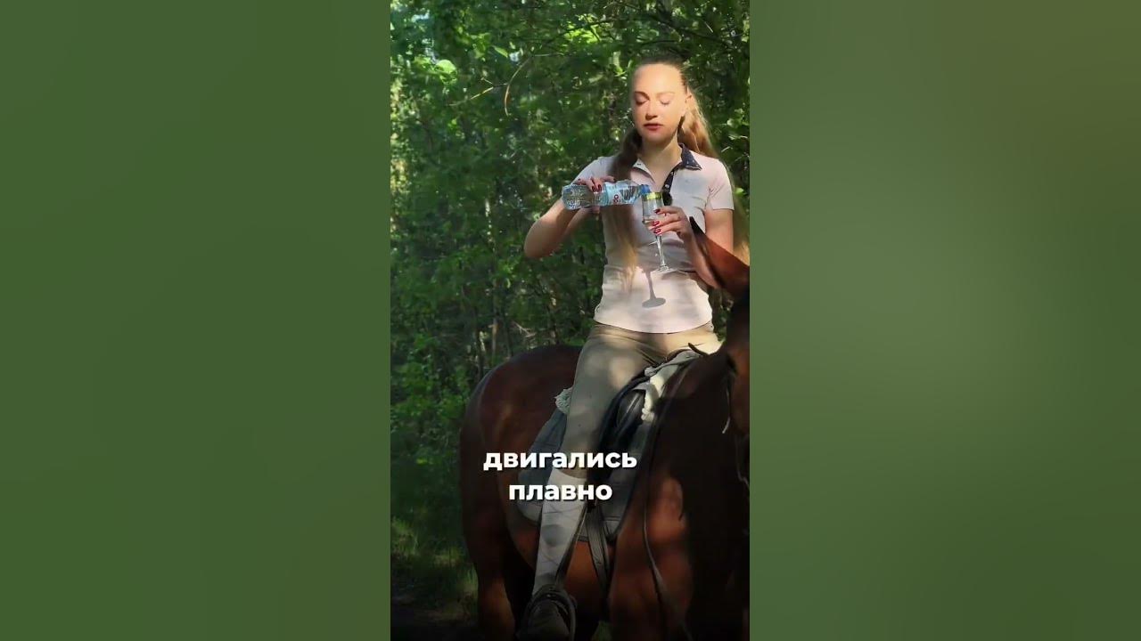 Конные прогулки СПб - YouTube