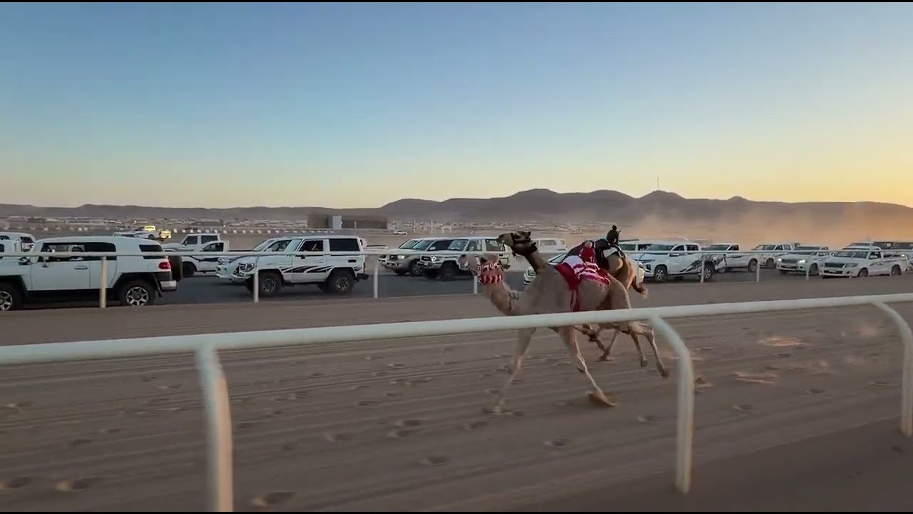الشوط الثاني | قعدان مفاريد رئيسي | عليان | ممدوح عطالله الضيوفي العطوي | 2:9:92