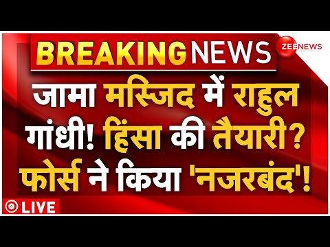 Rahul Gandhi in Sambhal Jama Masjid LIVE: संभल जामा मस्जिद के लिए निकले राहुल गांधी!