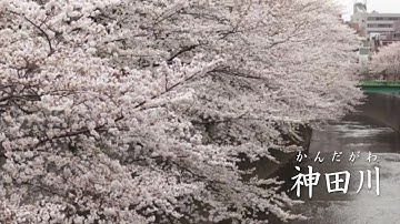 神田川 　かぐや姫