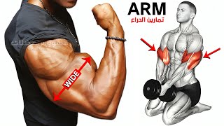 ✅️ Best Arm Workout | Try It and You Will See the Result