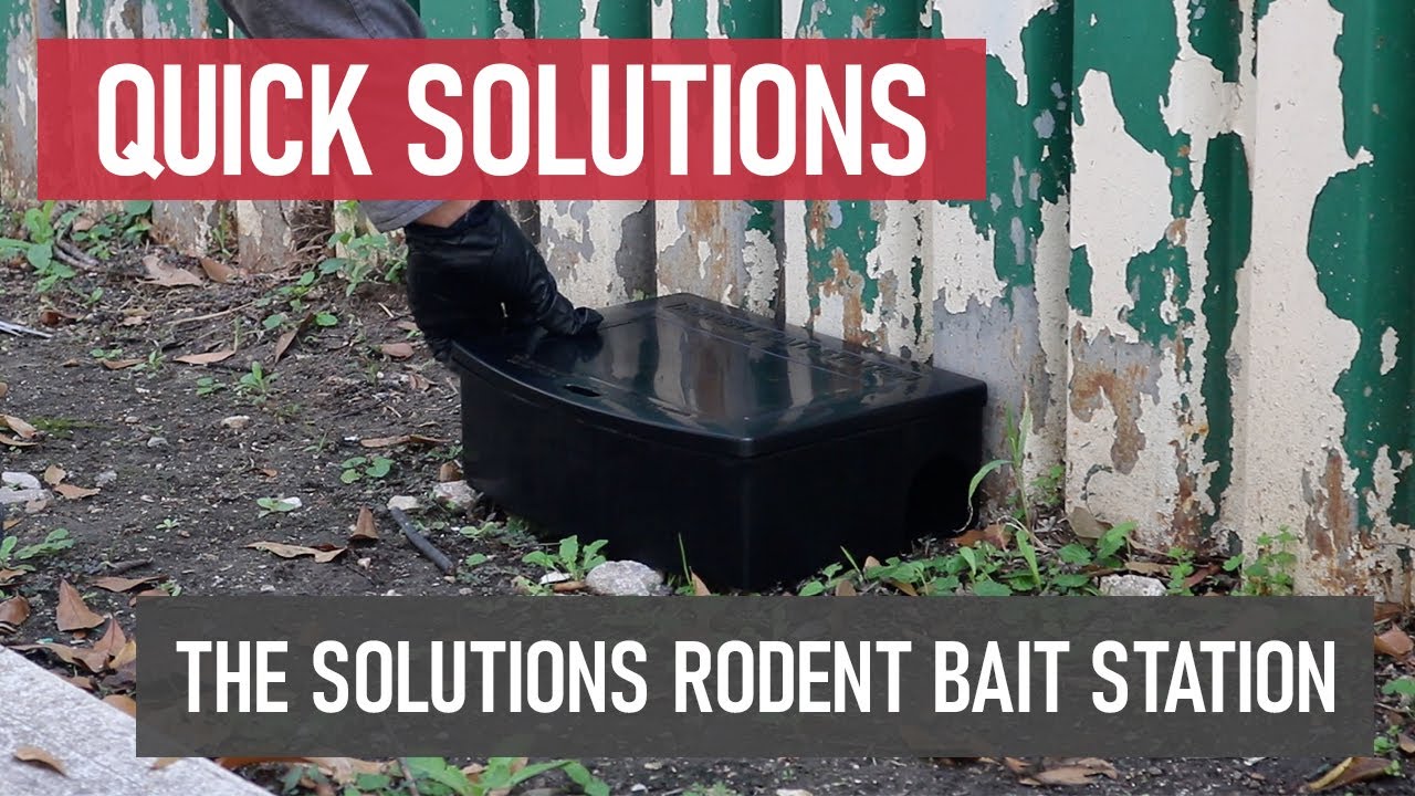 The Bait Station That's Shaking Up Pest Control
