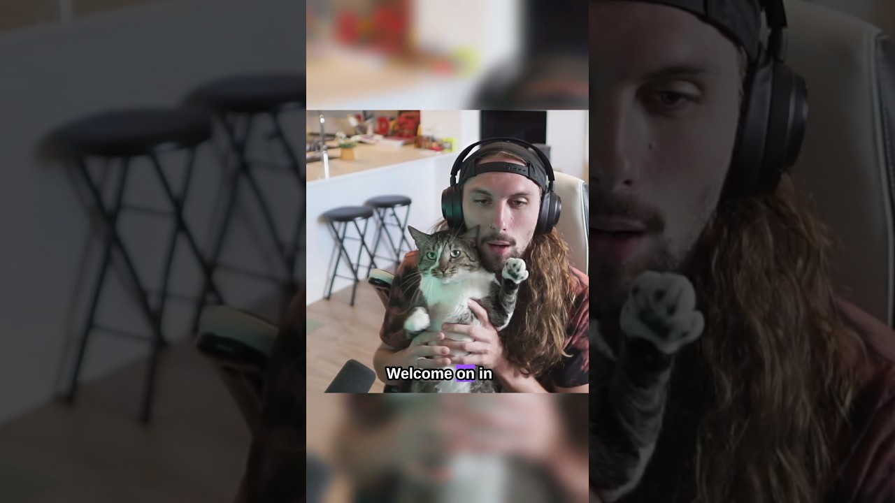 Beans the cat
