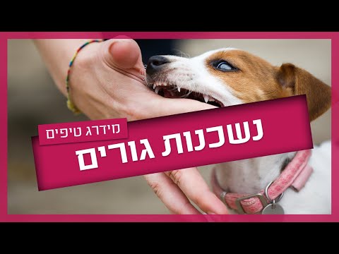 גור נושך - סיבות ופתרונות