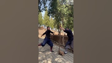 Shaolin Diamond Kick—Mind-Blowing Fast-Cut Moves! #yanhao #shaolinkungfu #ufc #brucelee
