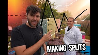 Making Splits With Adam