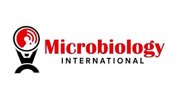 Animated Logo Video - Action Logo