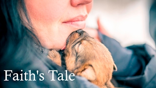 MOTHER & PUPPIES RESCUED FROM DYING IN THE SNOW