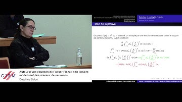 Delphine Salort: Around a Fokker-Planck equation modeling neuronal networks