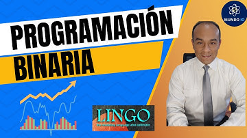 Paquete de Acciones: Programación Lineal Binaria con Lingo