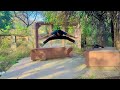 My 14th Fitness Video 🔥 Full Body HIIT Workout | Fat Loss &amp; Strength Training | Pramod kbdfit